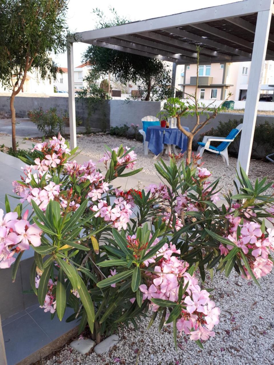 Cozy House בית נופש *